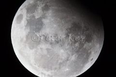 moon-eclipse_shashe_31-12-2009_mk4_0067